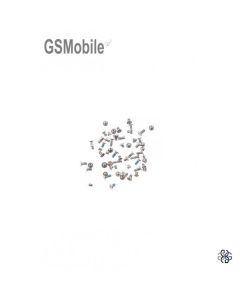 Set de tornillos para iPhone 6S Plus 6S+